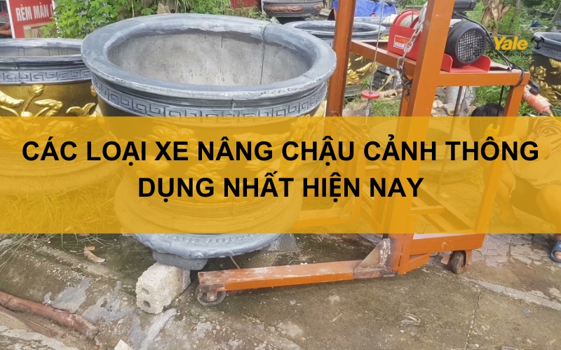 Thumbnail xe nâng chậu cảnh