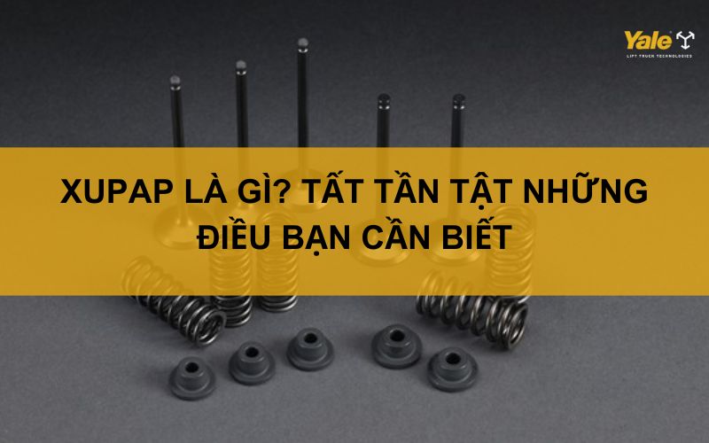 thumbnail xu páp là gì