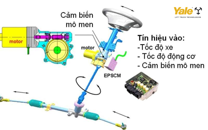 Cấu tạo chi tiết hệ thống EPS