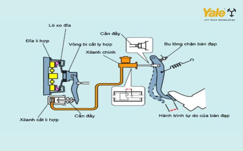 Cấu tạo chi tiết các bộ phận của bộ ly hợp xe nâng