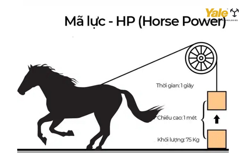 Hiểu biết rõ về mã lực là gì, ứng dụng và vai trò của mã lực trong vận hành xe nâng hiện đại