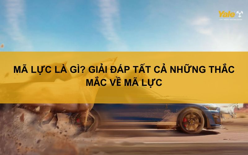 mã lực là gì