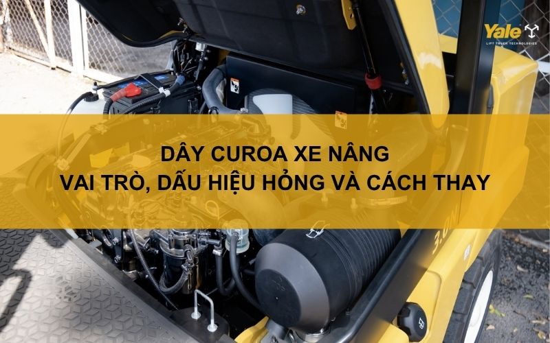 Dây curoa xe nâng: Vai trò, dấu hiệu hỏng và cách thay