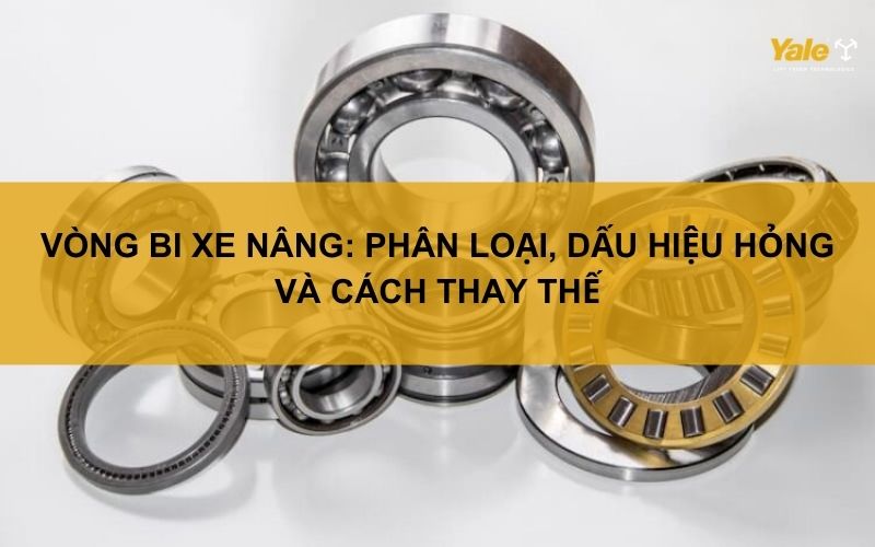 Vòng bi xe nâng: Phân loại, dấu hiệu hỏng và cách thay thế